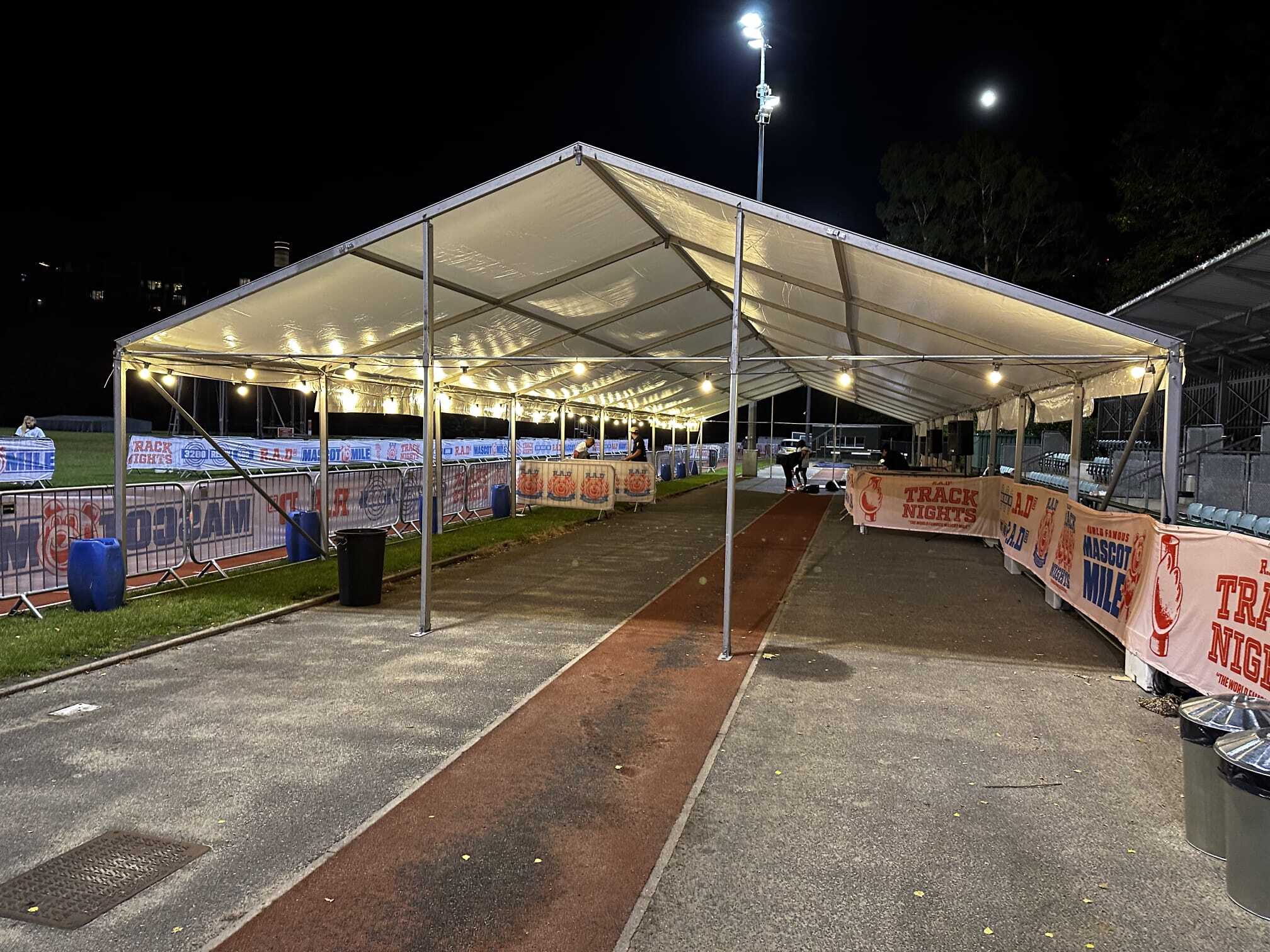Festoon Lighting (10m)